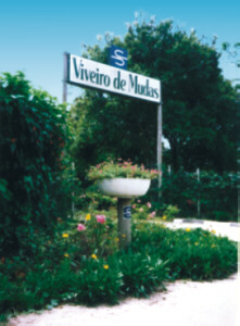 Passeios, Preserva��o - Viveiro de Mudas
